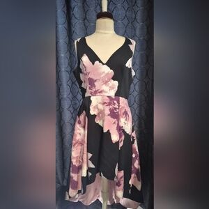 Trixxi Black and Pink Floral Mini Dress
